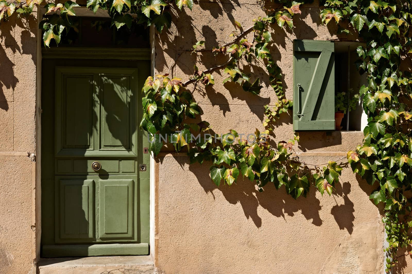 Typical house facade with with green ivy in French Provence, south France