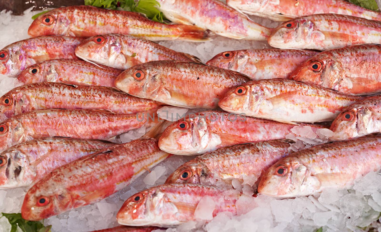 Fresh red mullet for sale on fish market of Marseille, Mediterranean France