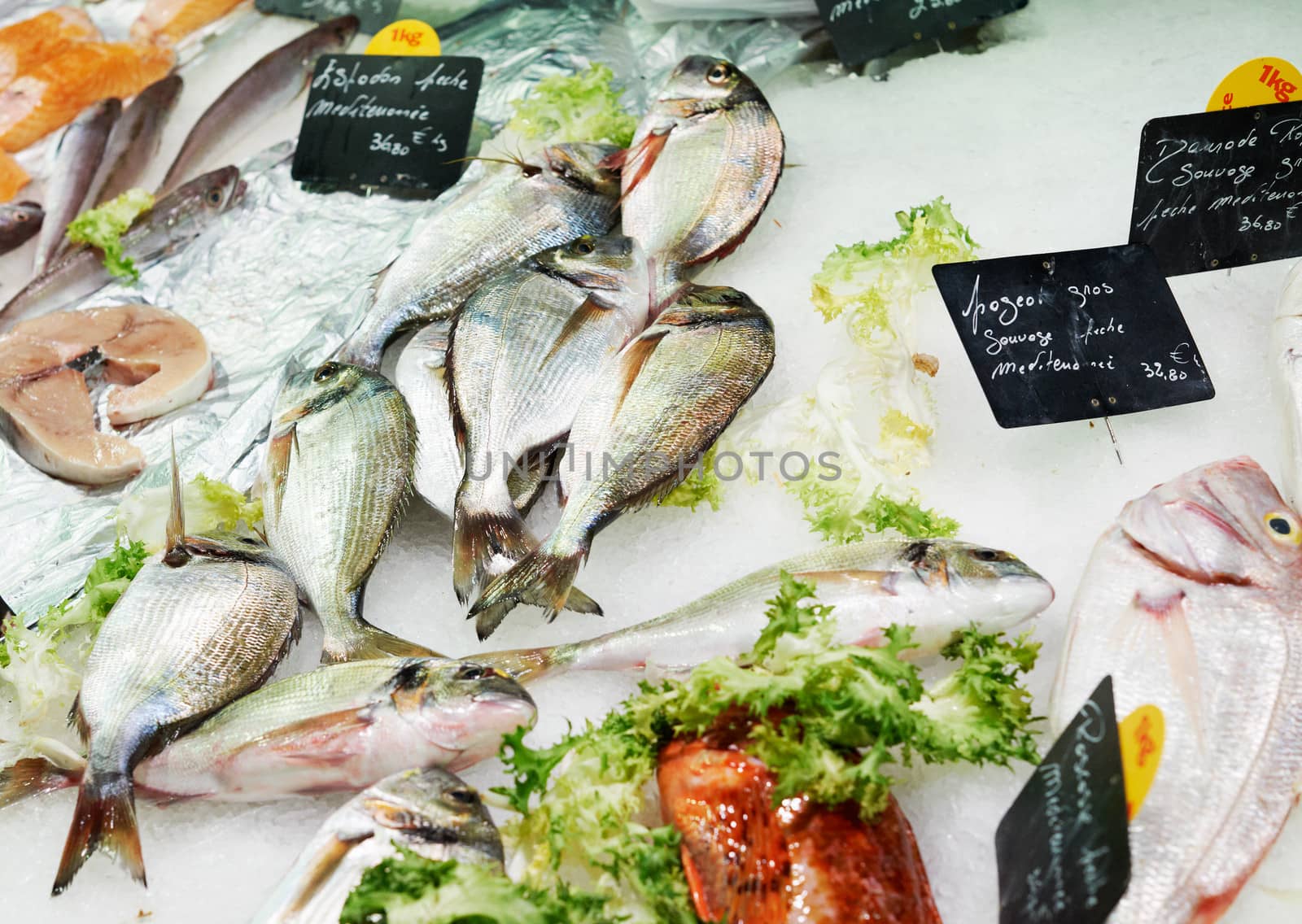 Fresh raw sea fish on market stall in Aix en Provence, South France