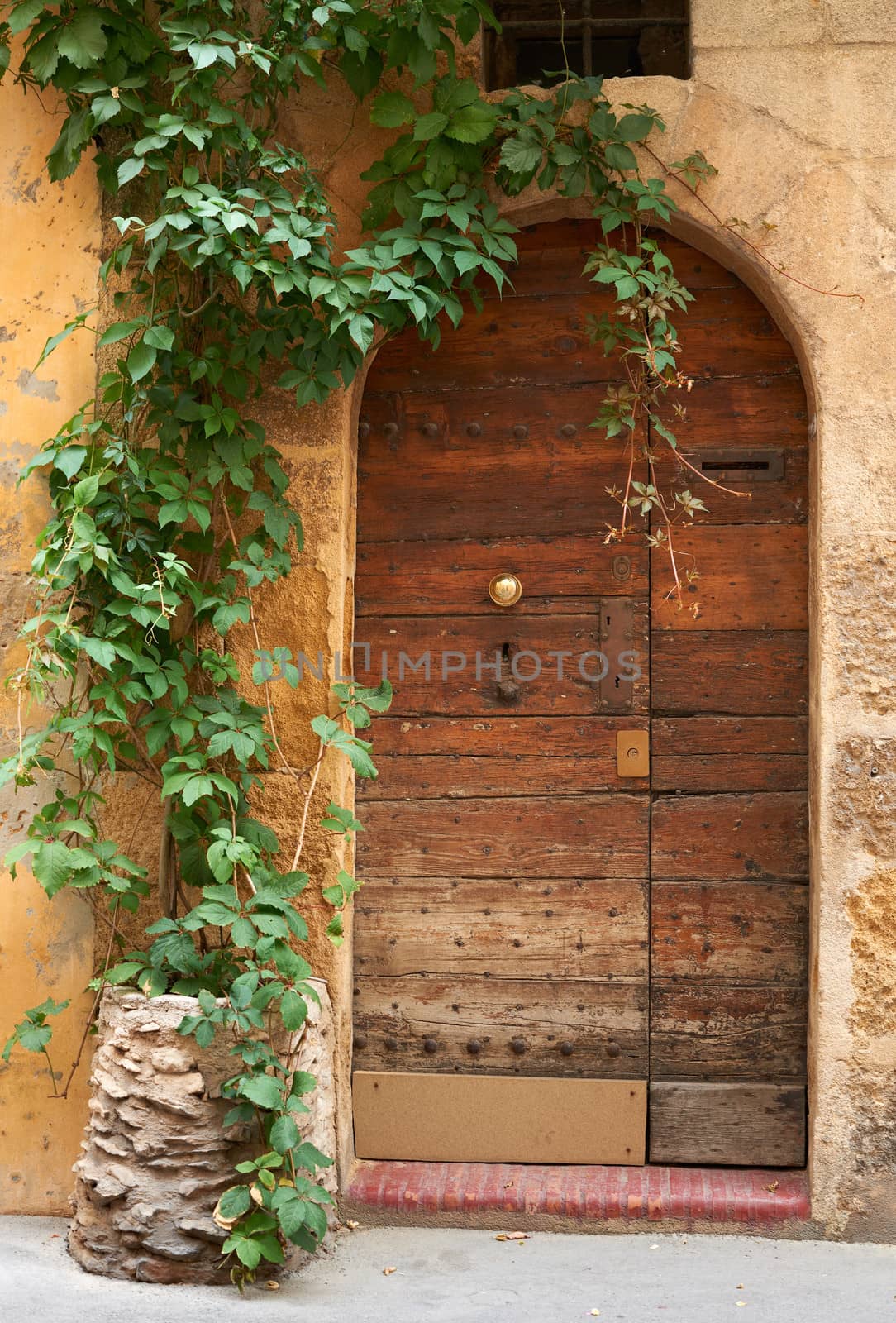 Medieval door in France by ecobo