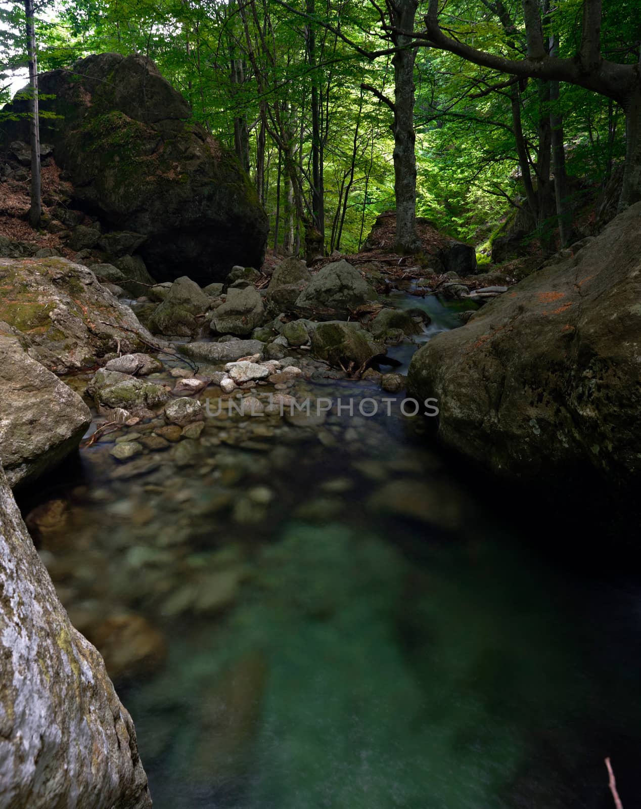 Crystal clear water of a mountain stream in forest