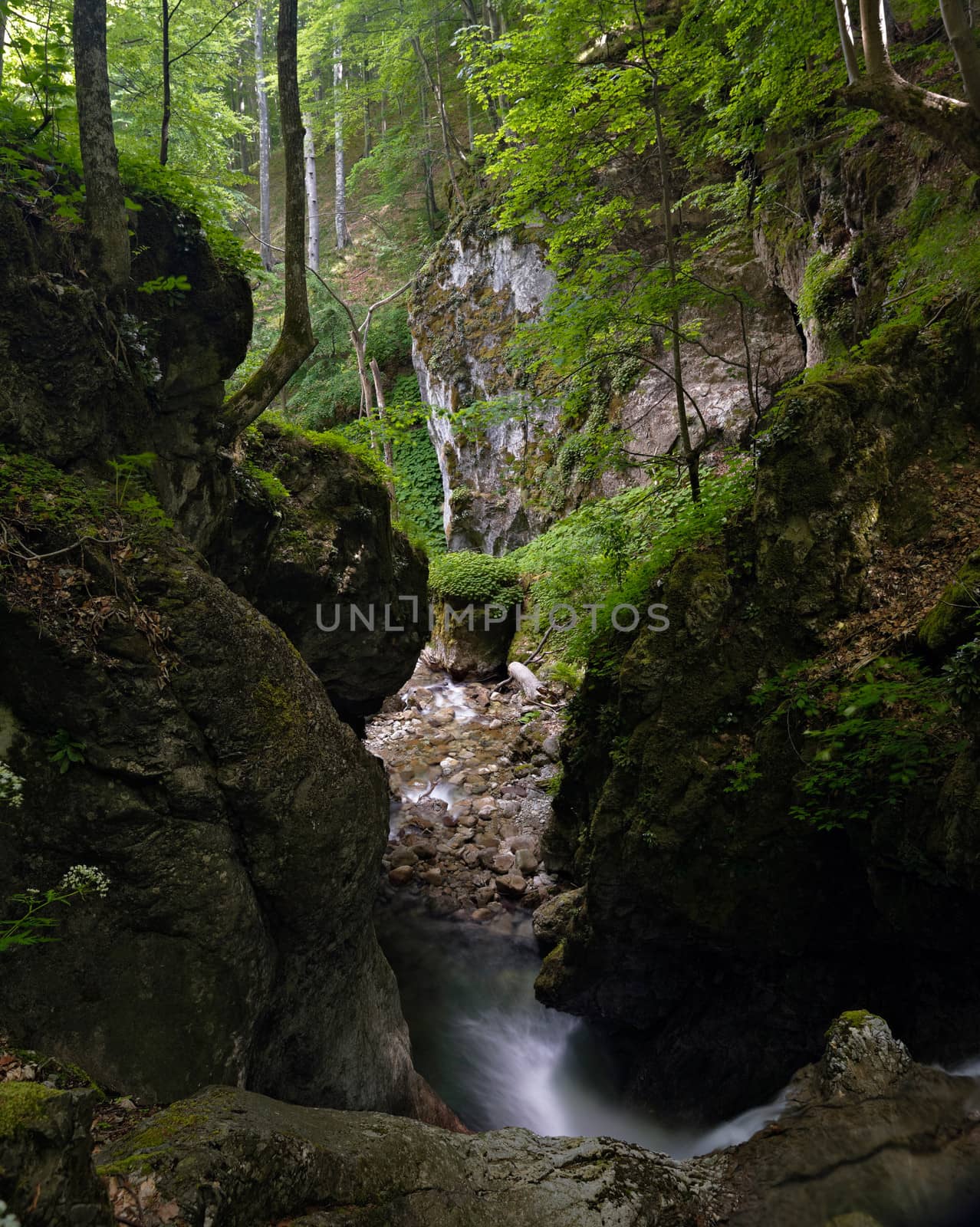 Mountain scenery with stream by ecobo