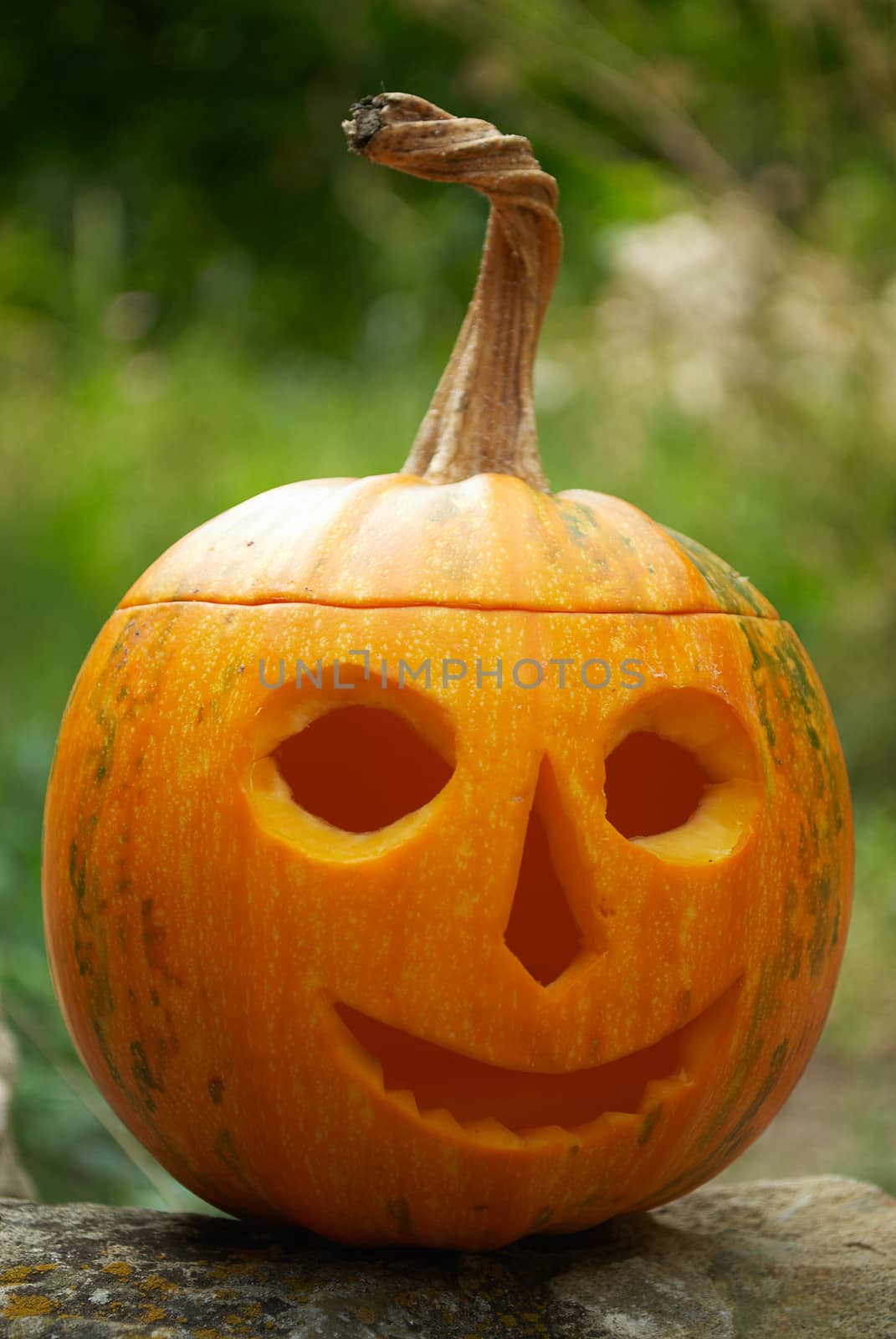 Pumpkin lantern for Helloween holiday tradition