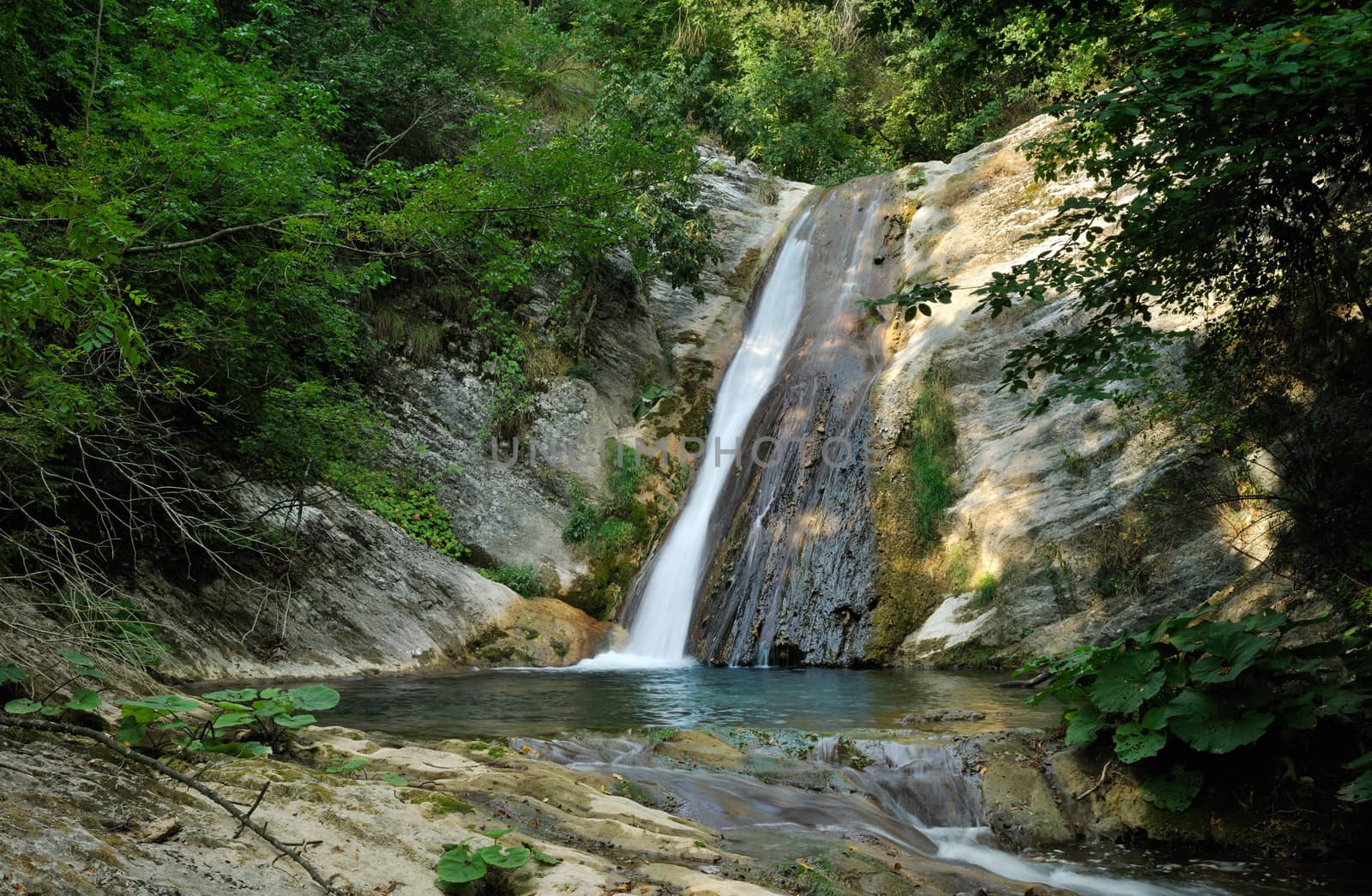 Waterfall on small stream in green summer forest