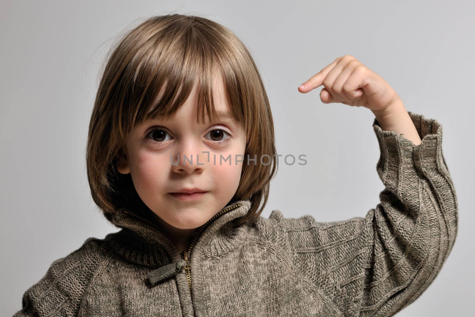 Little boy pointing his head wir Are you nuts question