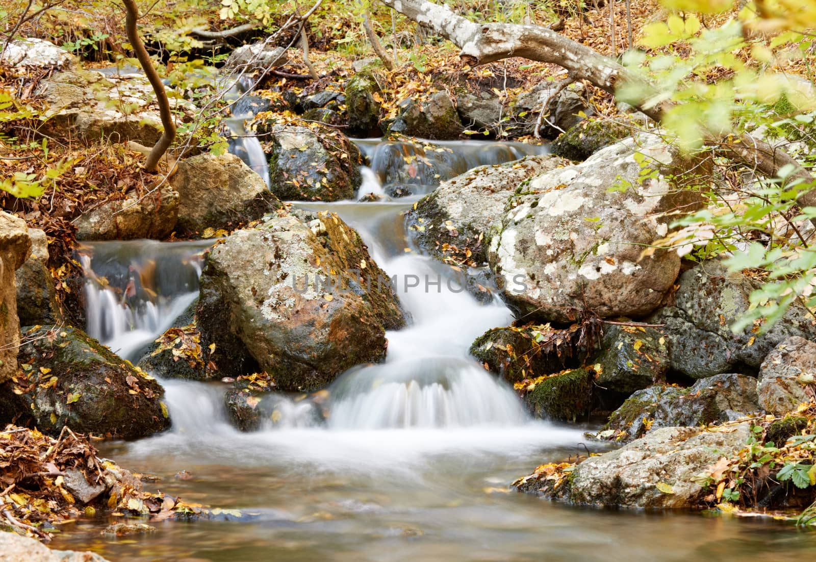 Mounatin stream and stines in autumn forest