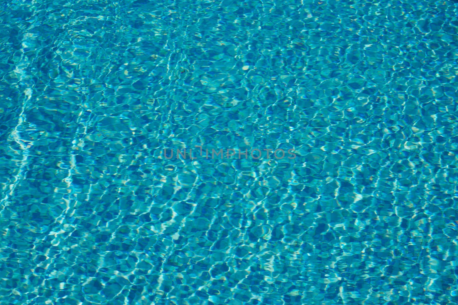 Clear blue water of a swimming pool