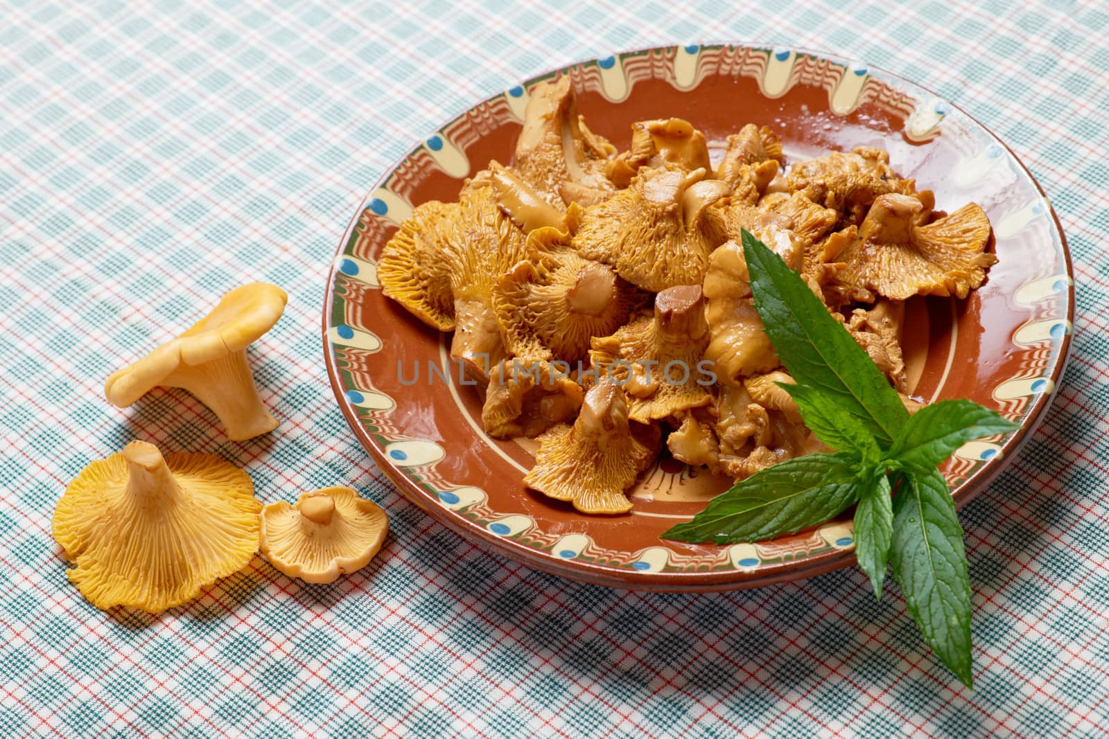 Dish of tasty golden chantarelle mushrooms on table