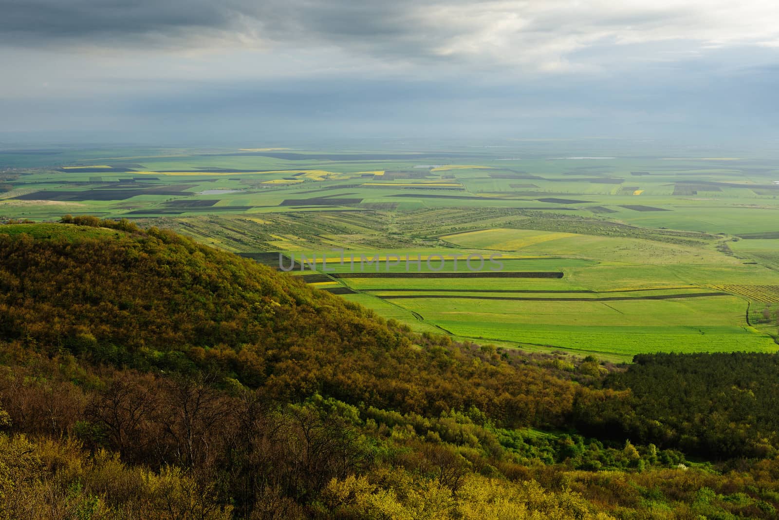 Land in spring time and sunset light after rain