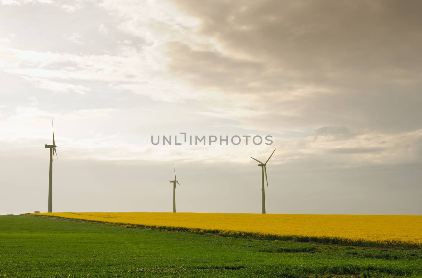 Power generation propellers in a spring meadow at sunset