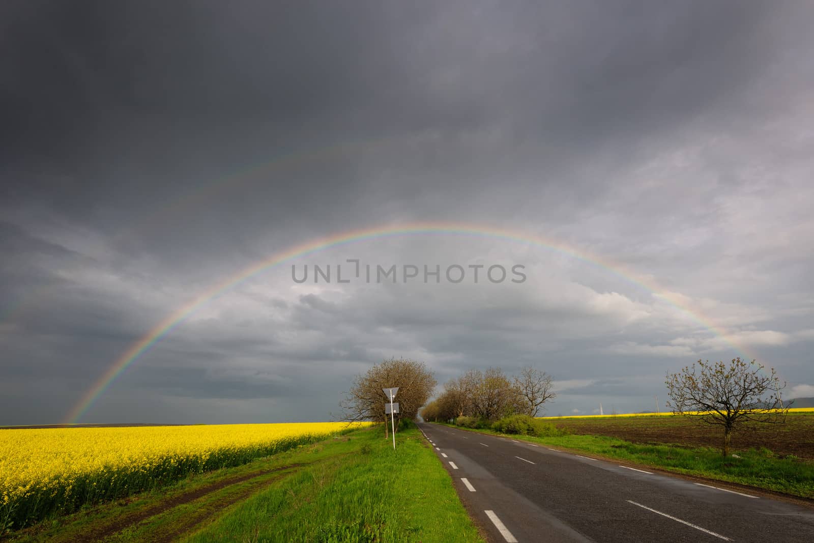 Spring scenery with rainbow over road