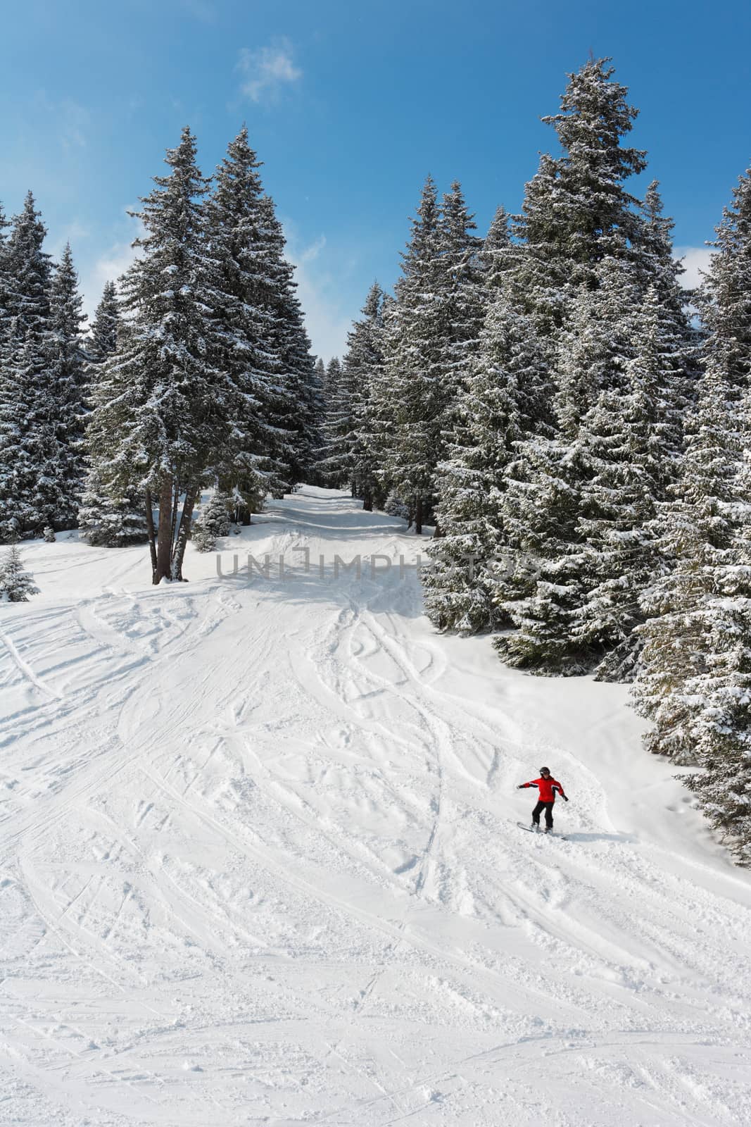 Snowboarder in winter mountain