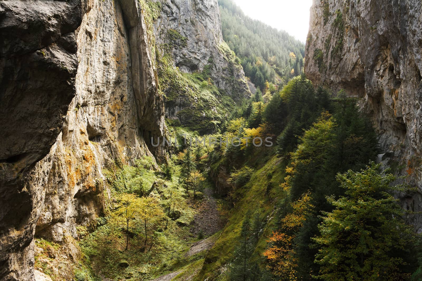 Bottom of Trigrad gorge, Bulgaria