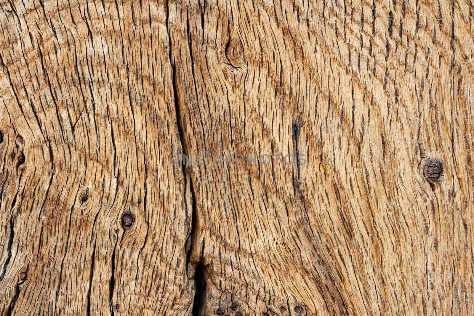 Old wood texture by ecobo