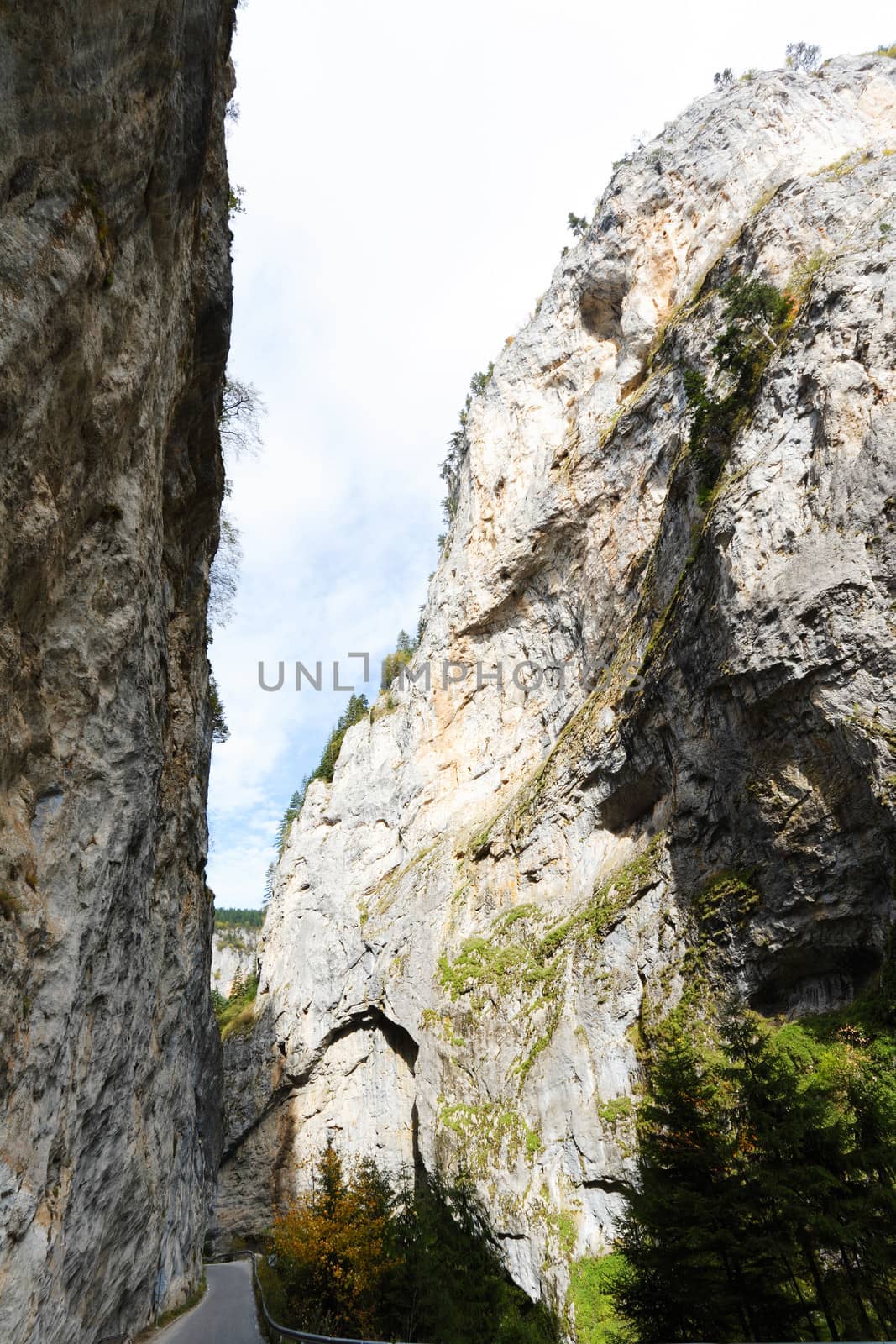 The rocks of Trigrad gorge, Rhodope mountains, Bulgaria