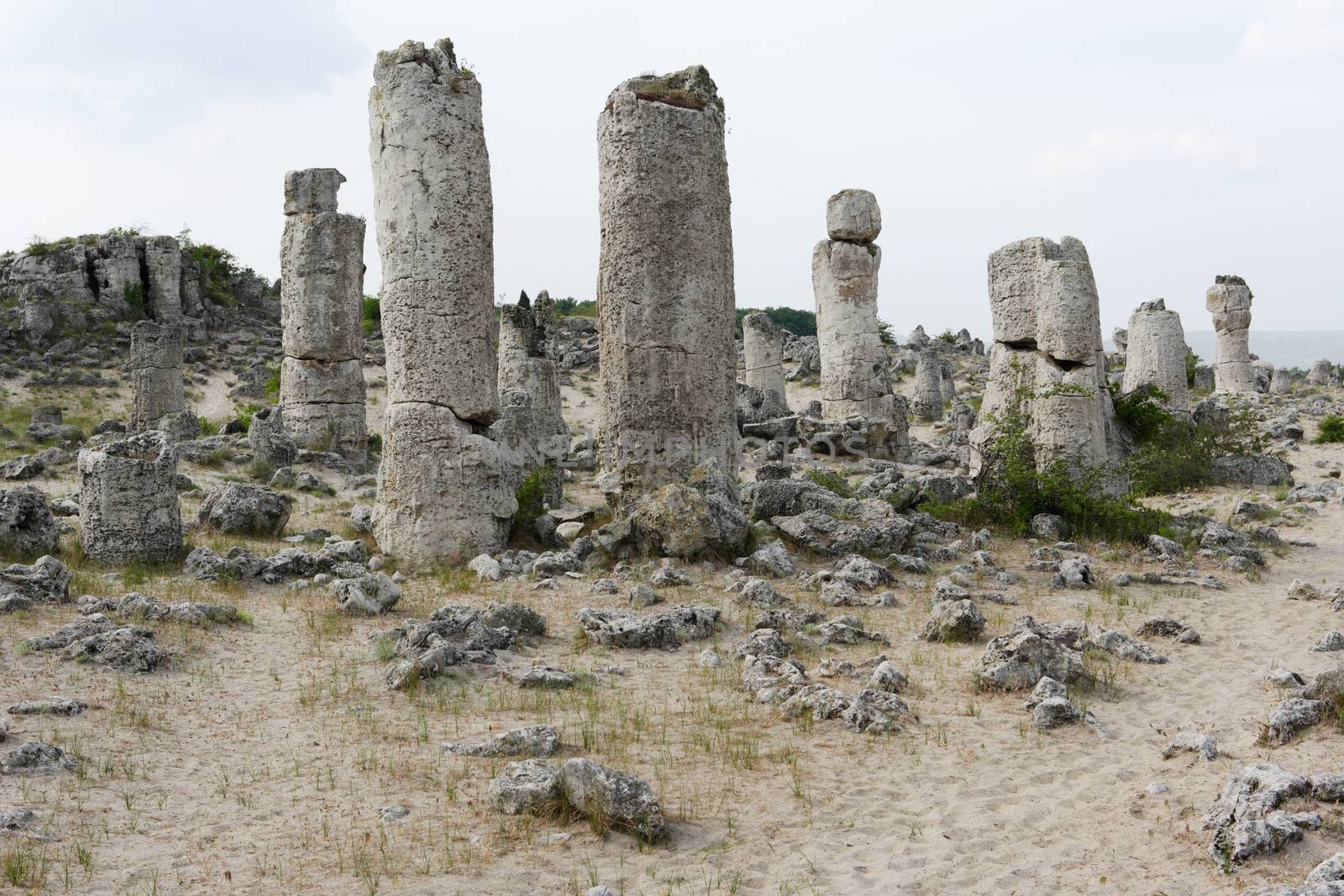 Stone phenomenon near Varna city, Bulgaria
