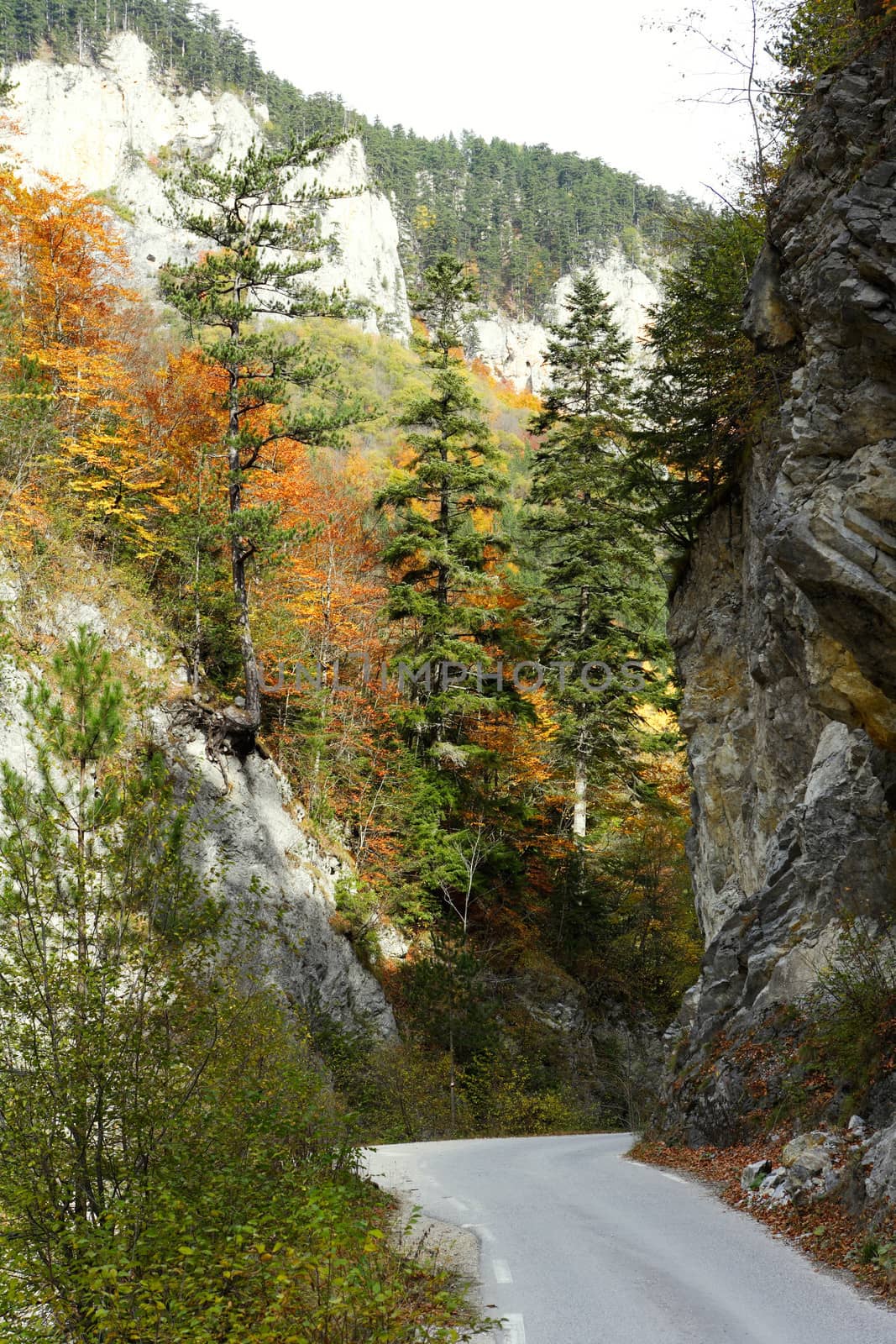 Road in a mountain gorge by ecobo