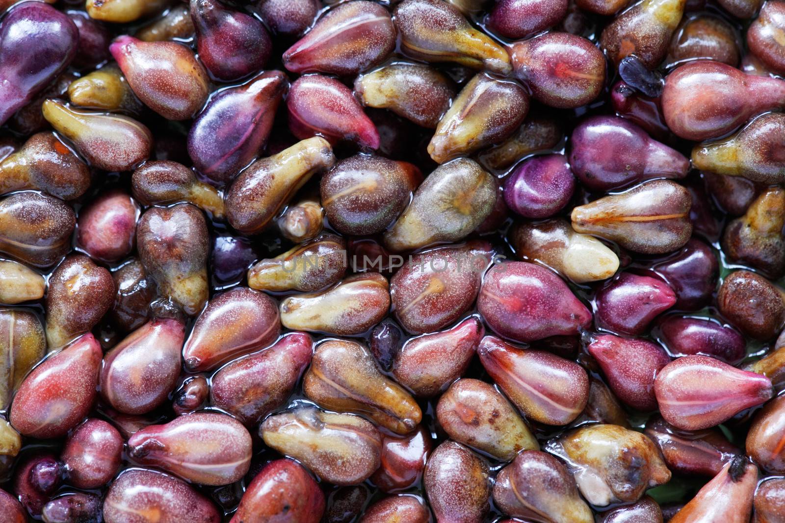 Close-up of grapes seeds, medicine ingredient