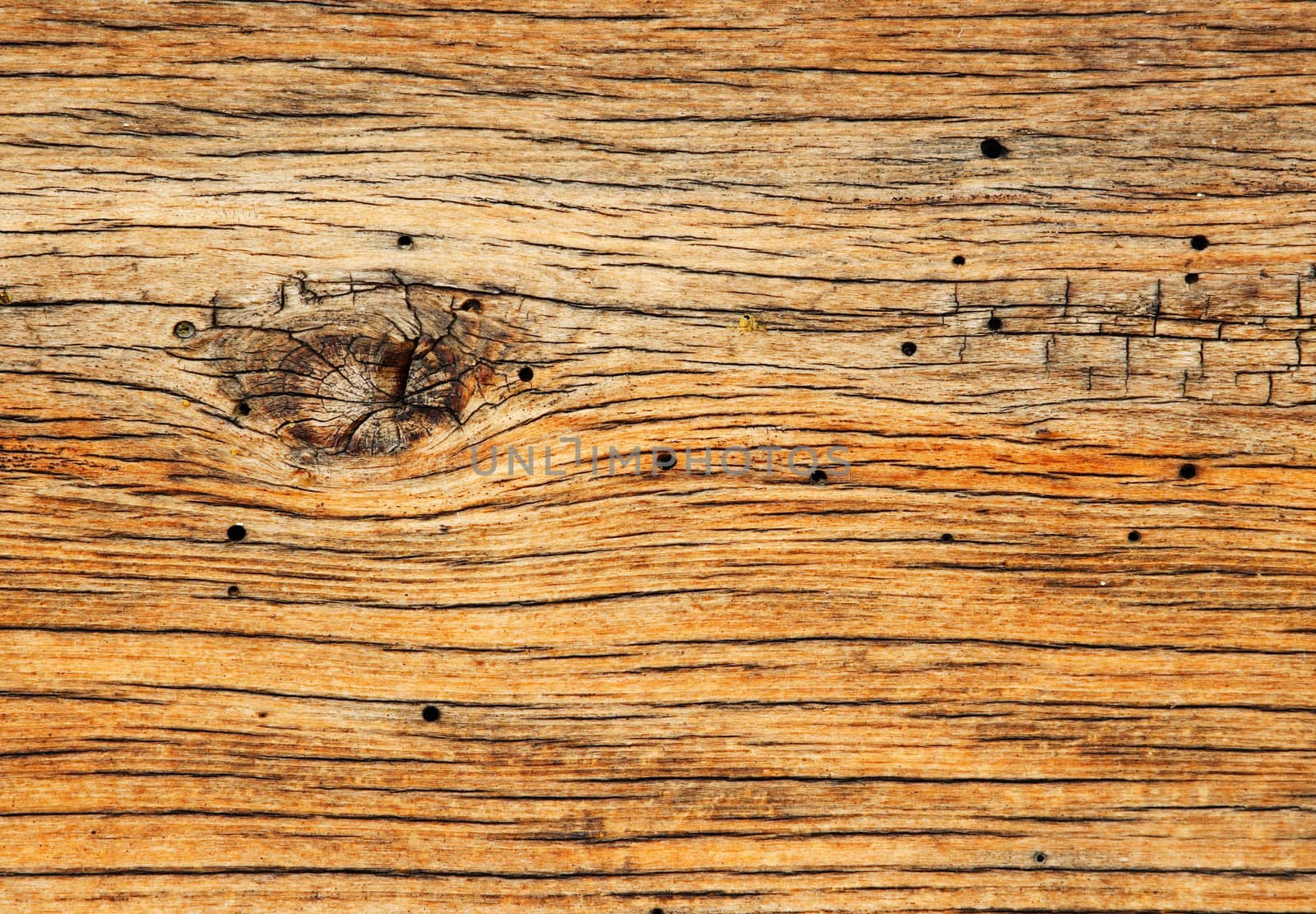 Wood background texture by ecobo