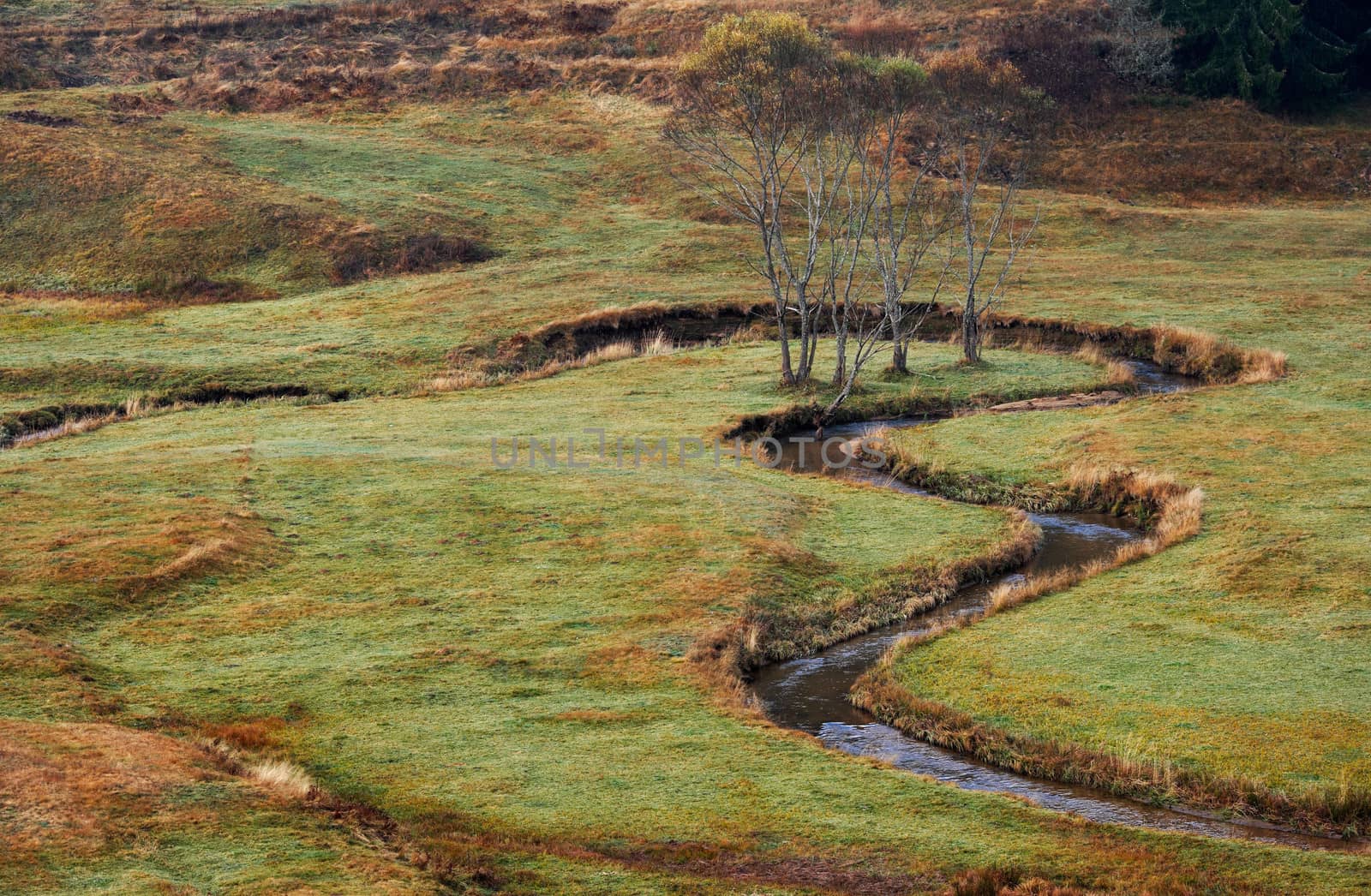 Autumn scenery with meanders of a mountain stream