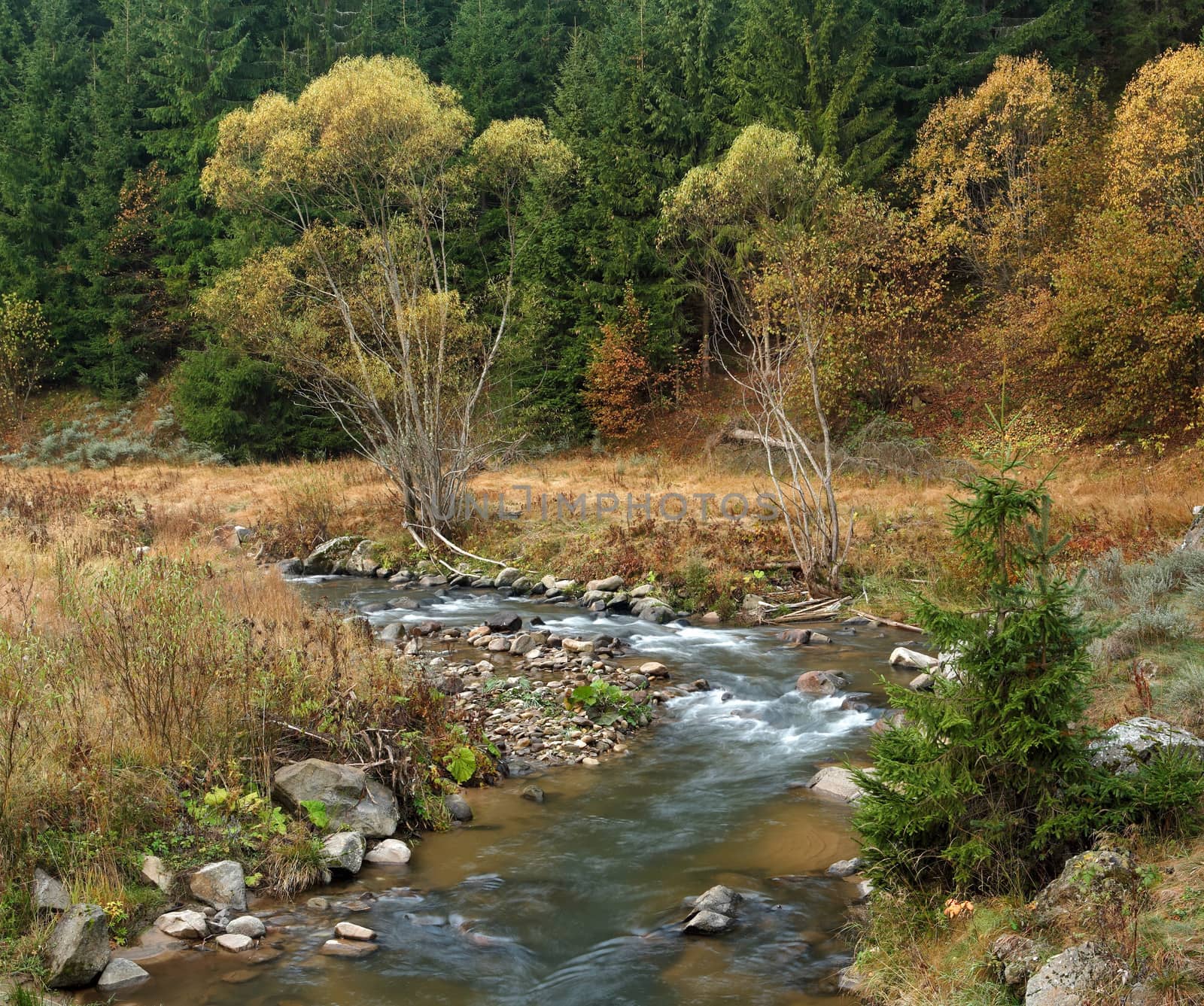 Autumn scenery by ecobo