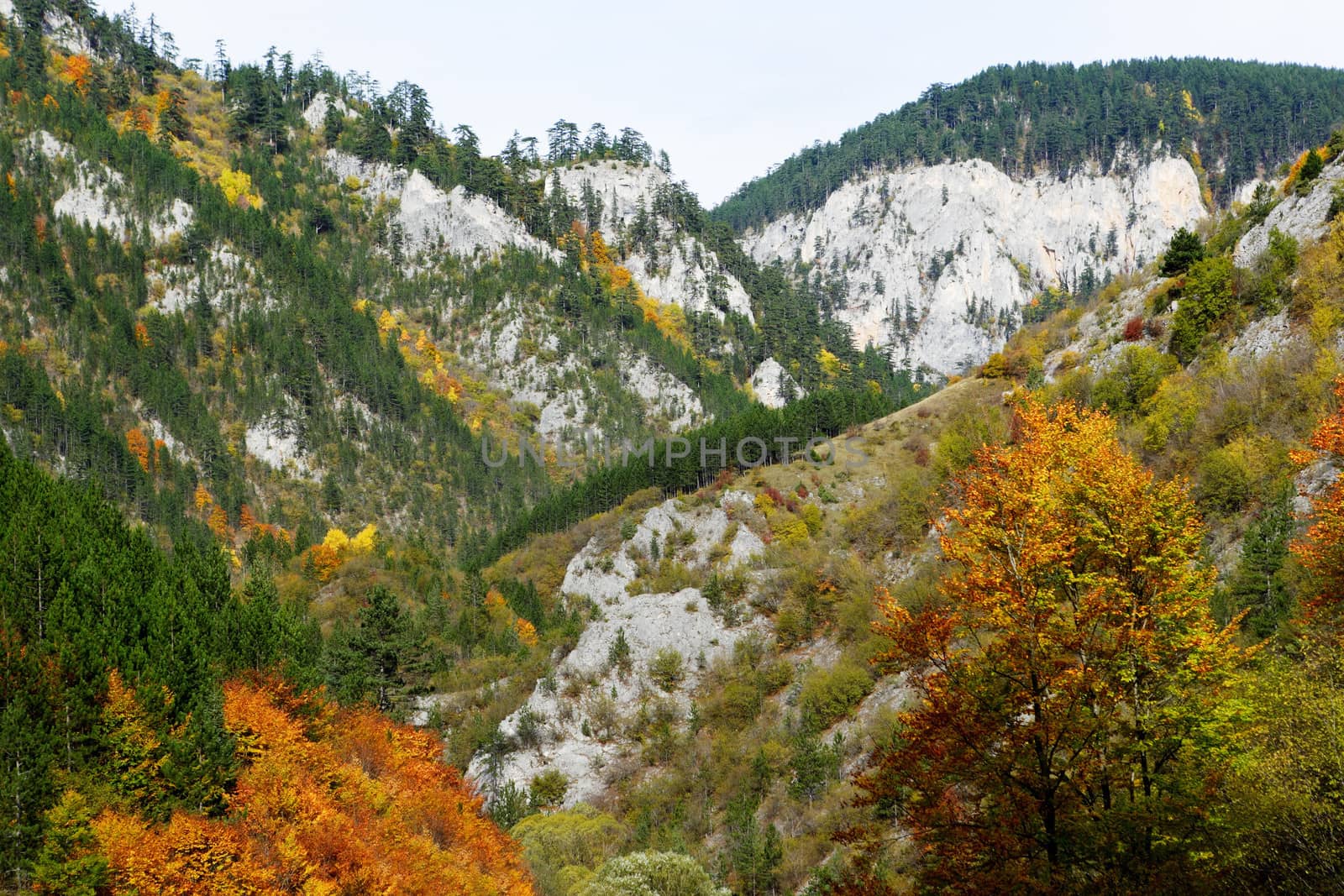 Autumn mountains by ecobo