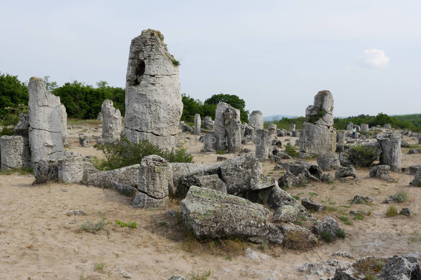 Stone phenomenon Nailed rocks near varna, Bulgaria