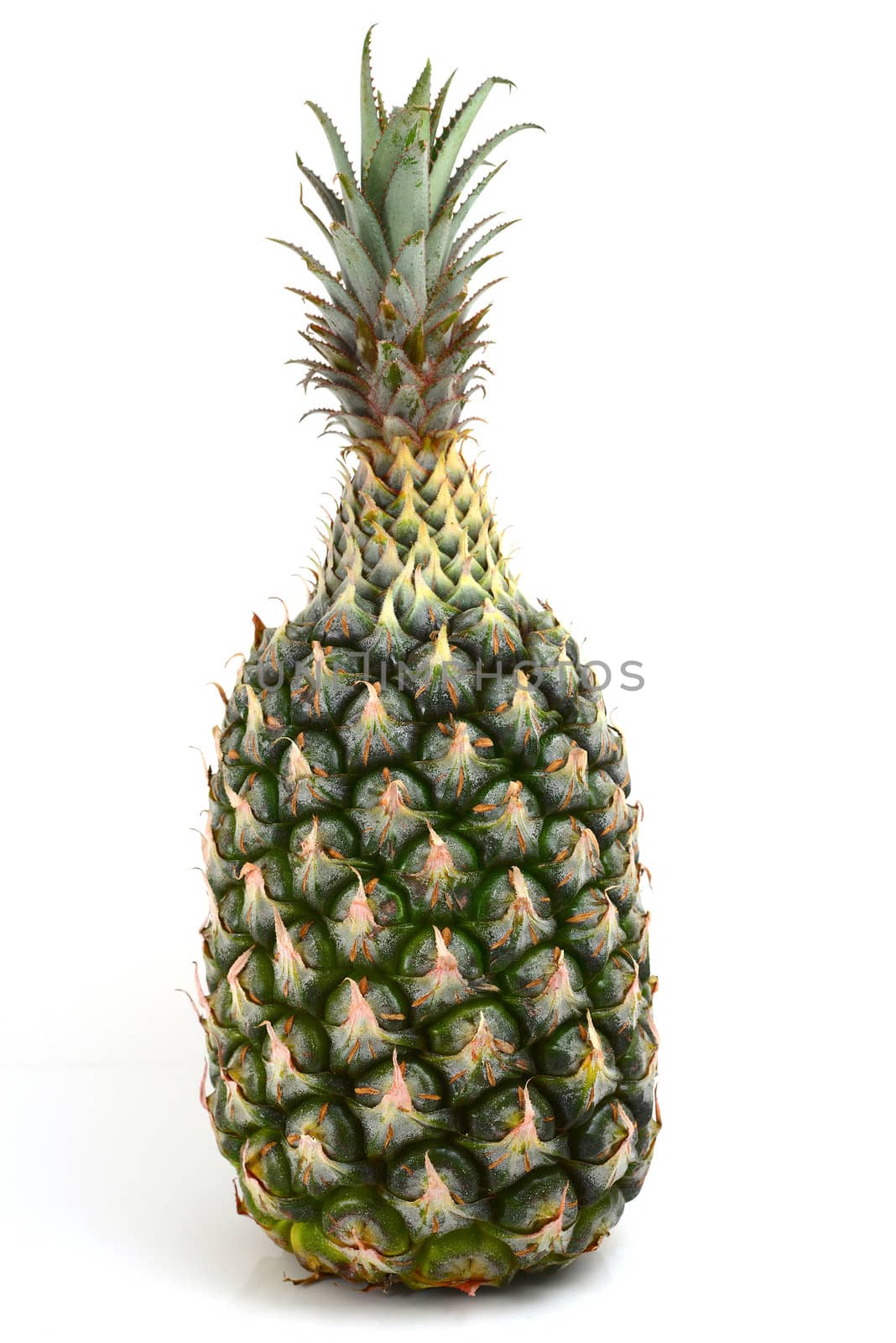 pineapple by antpkr