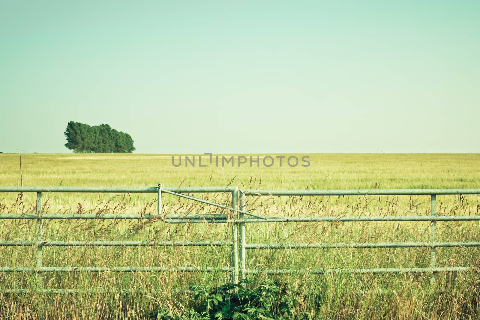 Gate into a rural field in vimtage tones