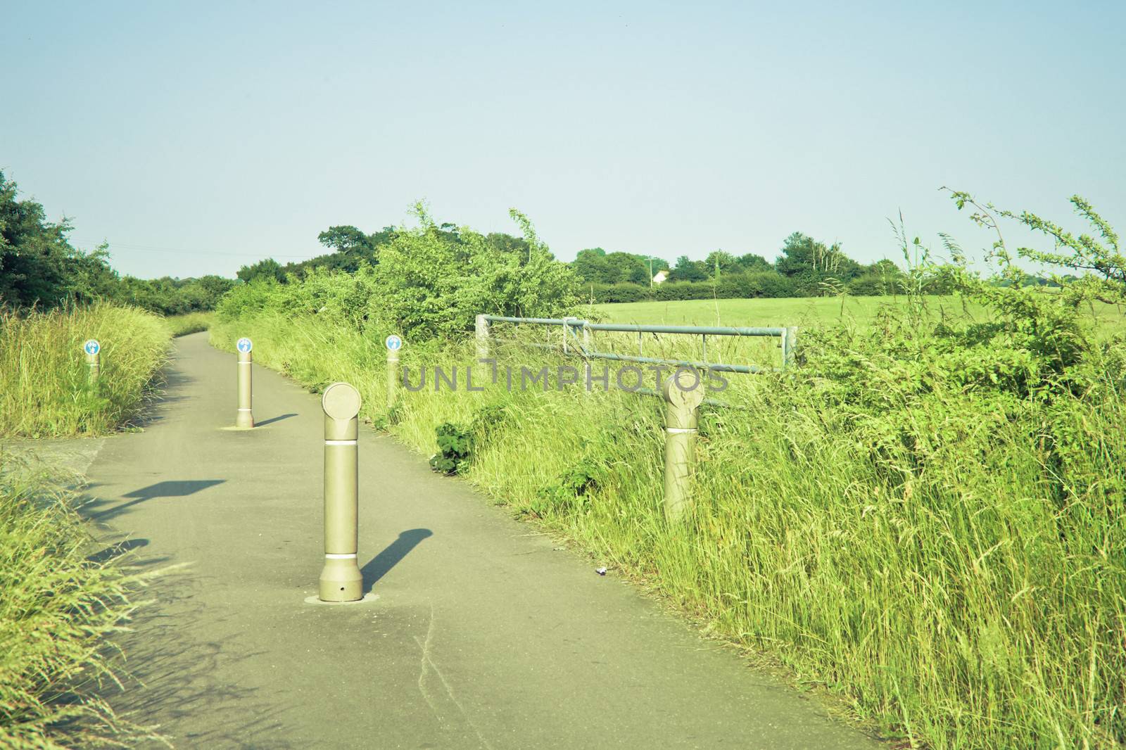 Cycle path adjacent to a field in rural England