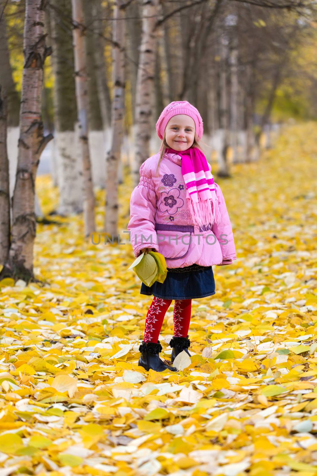 little girl in a pink jacket in the autumn alley
