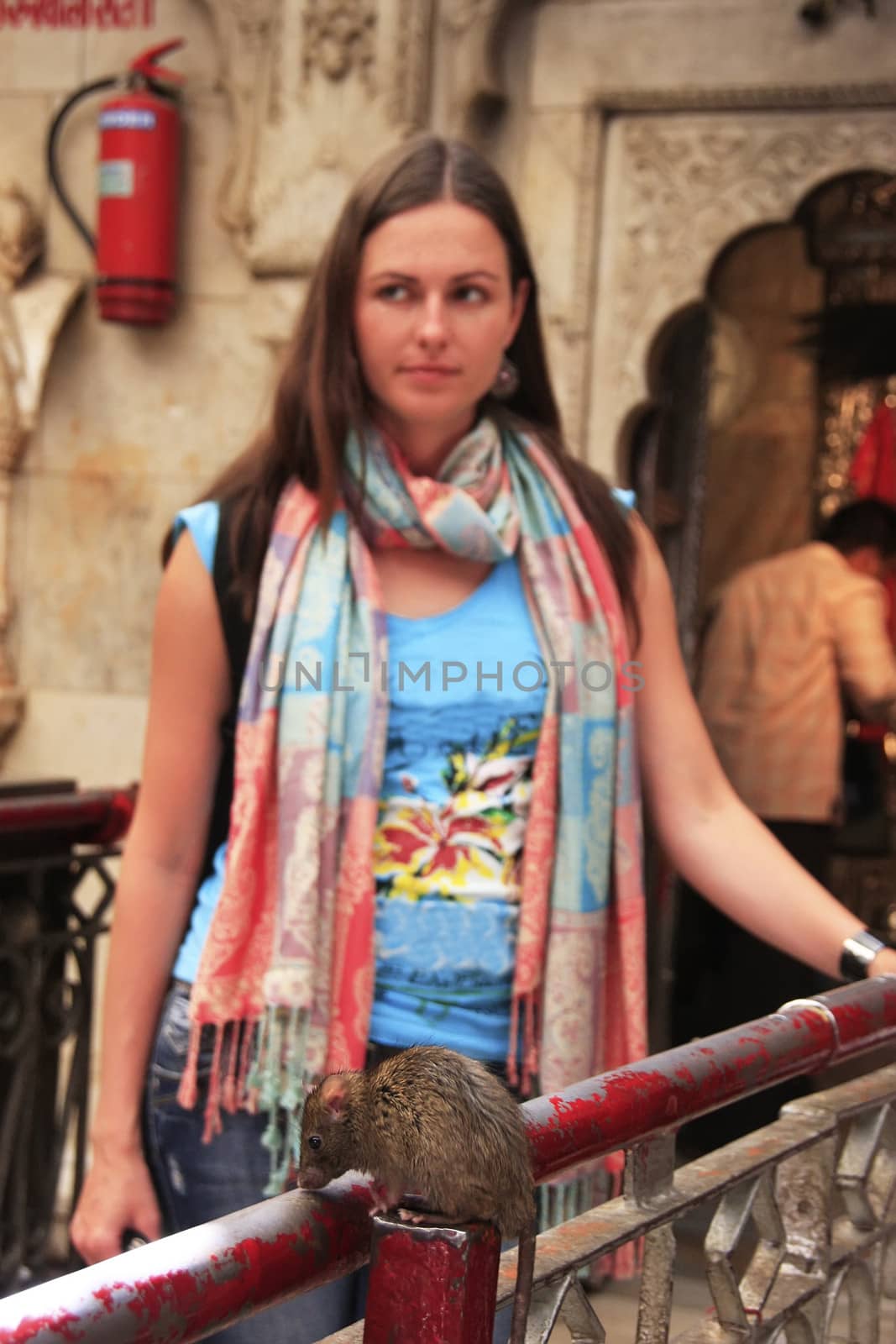 Rat sitting on a railing at Karni Mata Temple, Deshnok, India by donya_nedomam