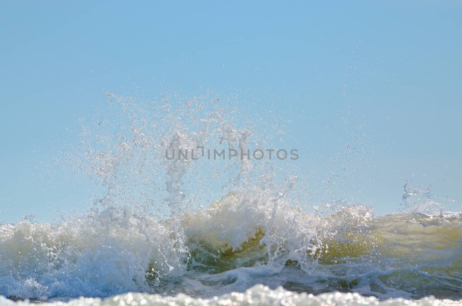 Sea foam of big wave on Black Sea