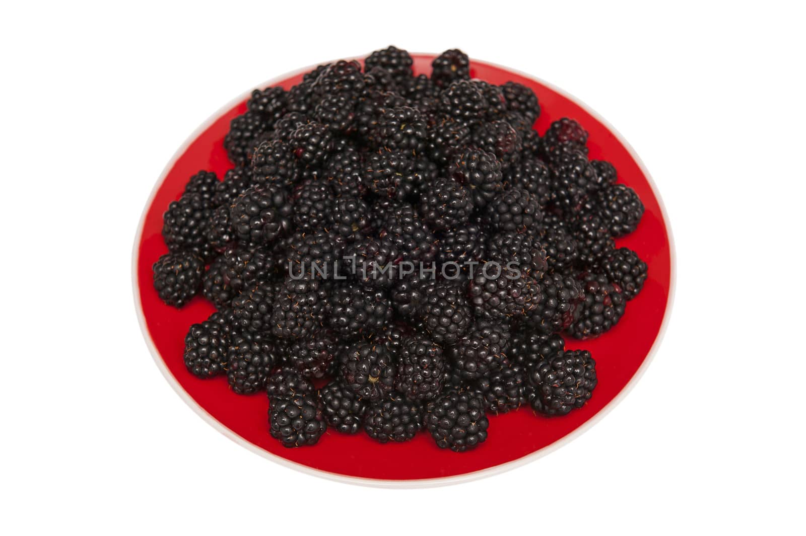 Blackberries isolated on the white background