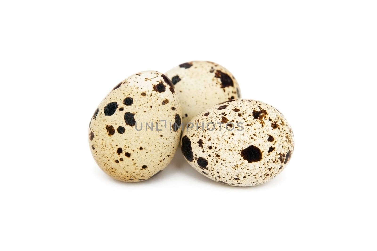 Quail eggs isolated on the white background