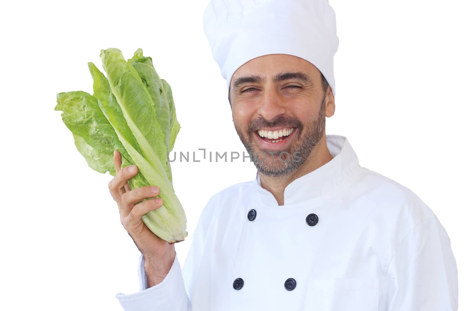 Laughing middle-aged cook or chef wearing a traditional white uniform and toque holding a fresh healthy green lettuce isolated on white