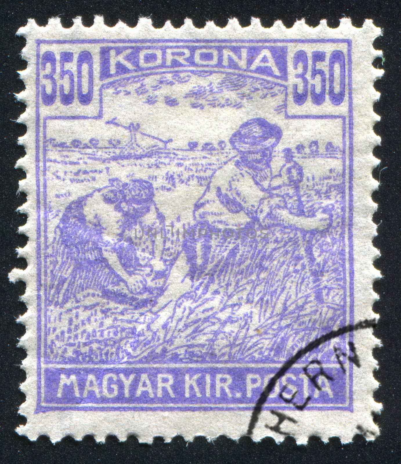 HUNGARY - CIRCA 1916: stamp printed by Hungary, shows Harvesting Wheat, circa 1916