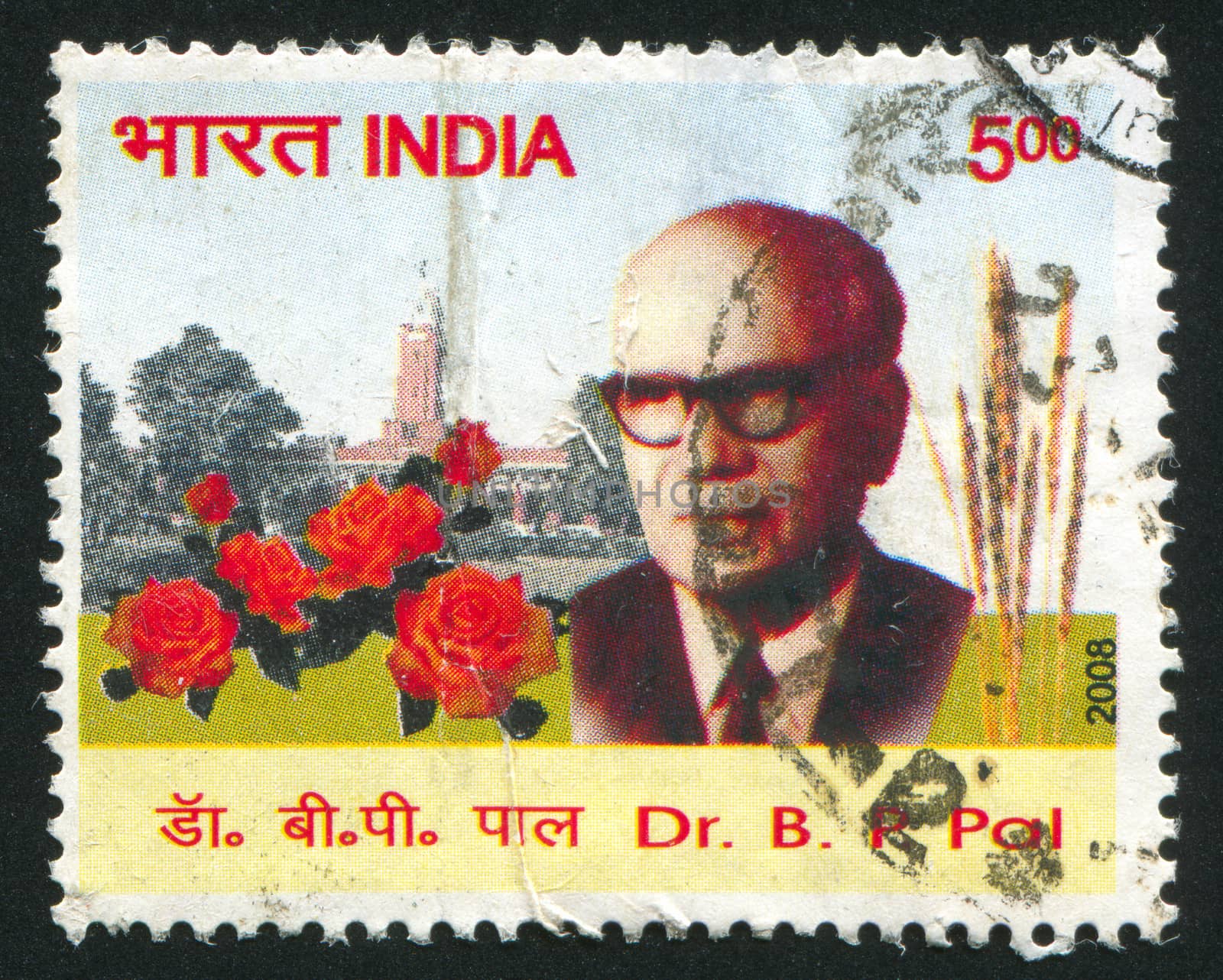 INDIA - CIRCA 2008: stamp printed by India, shows Pal, circa 2008
