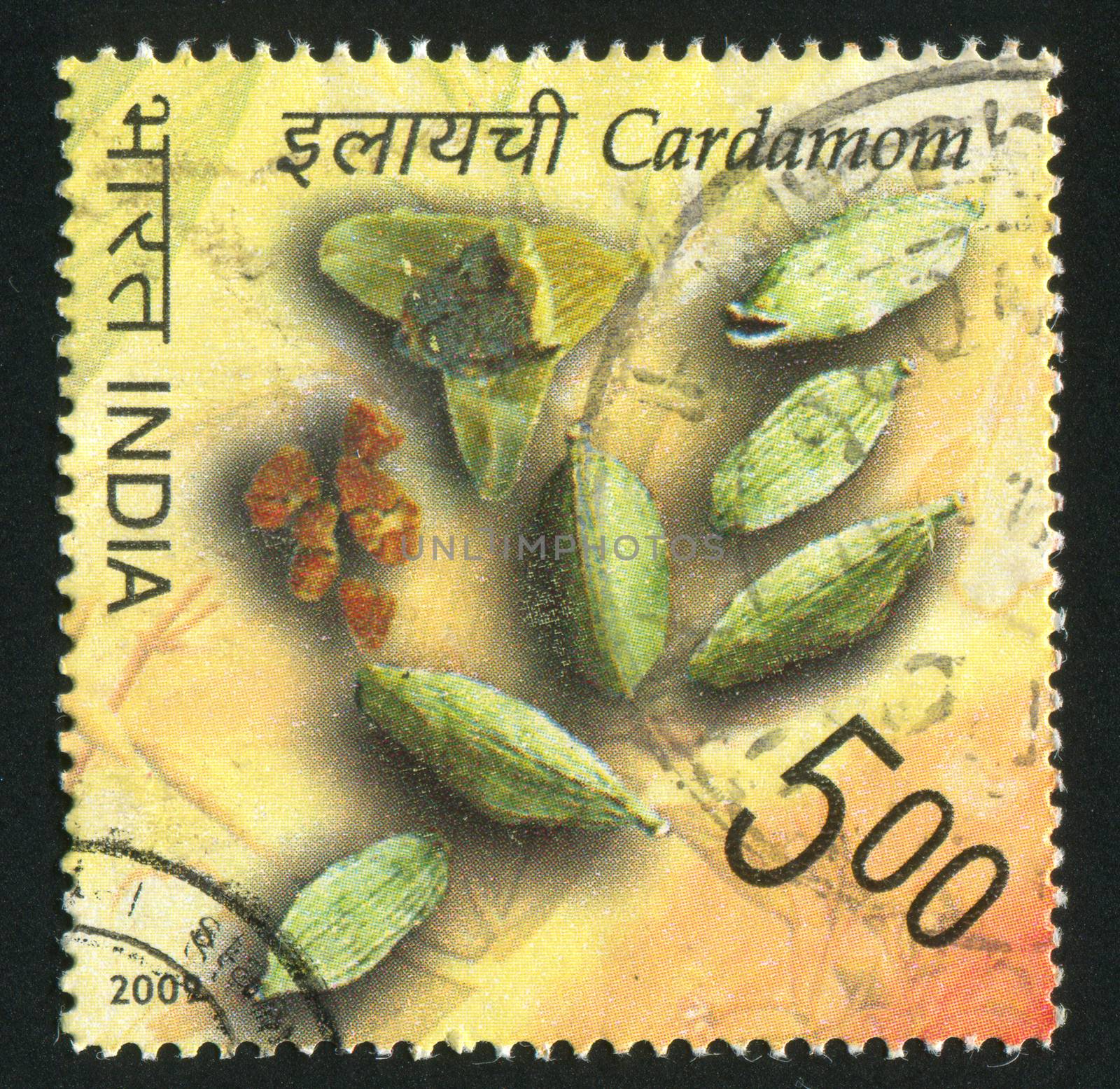 INDIA - CIRCA 2009: stamp printed by India, shows cardamon, circa 2009