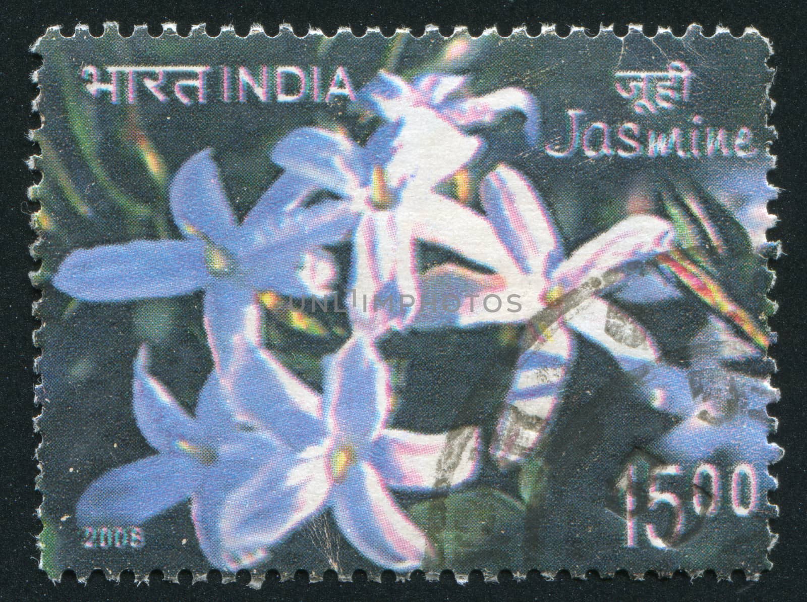 INDIA - CIRCA 2008: stamp printed by India, shows Jasmine, circa 2008