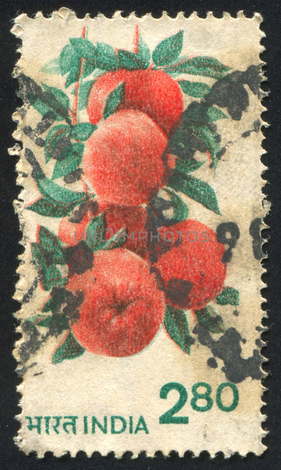INDIA - CIRCA 1953: stamp printed by India, shows Fruits and Plants, circa 1953