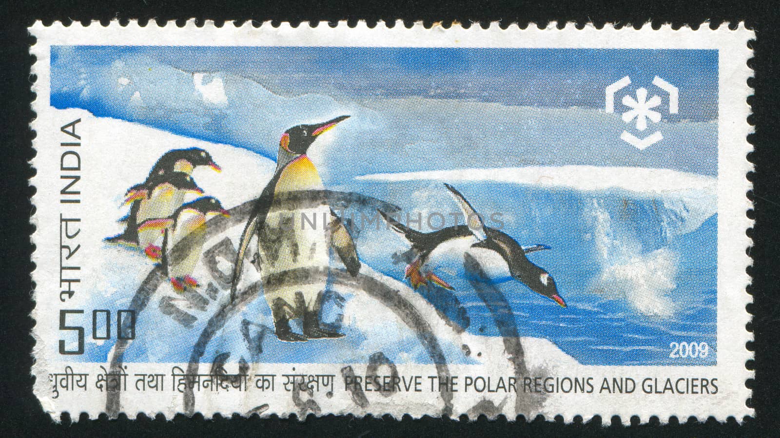 INDIA - CIRCA 2009: stamp printed by India, shows penguins, circa 2009
