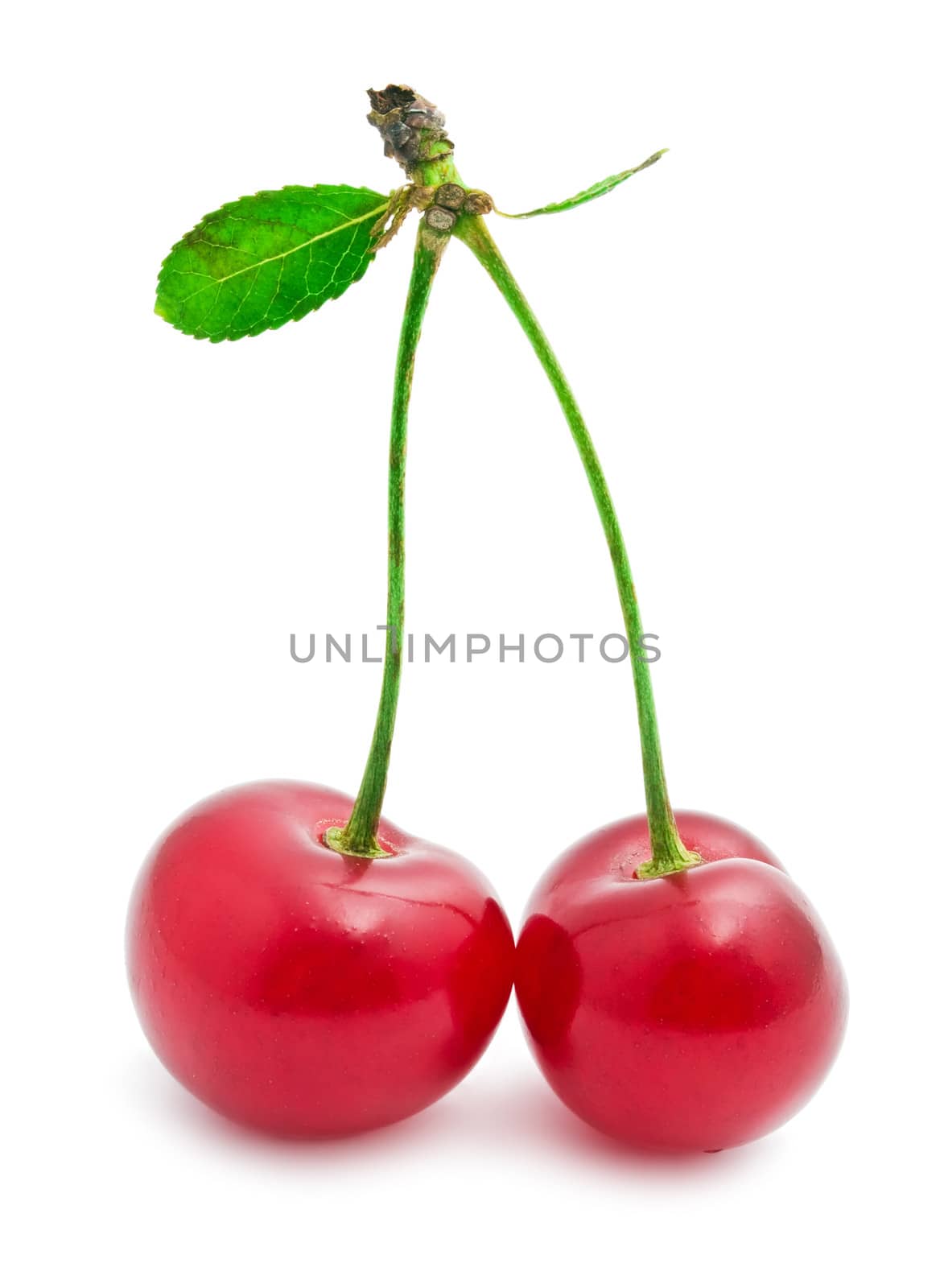 Beautiful red cherry isolated on white background