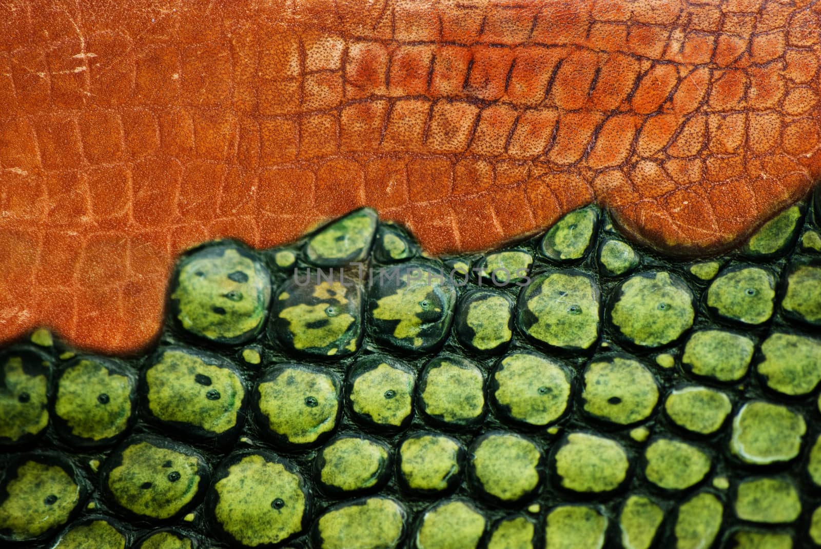 crocodile leather by sarkao