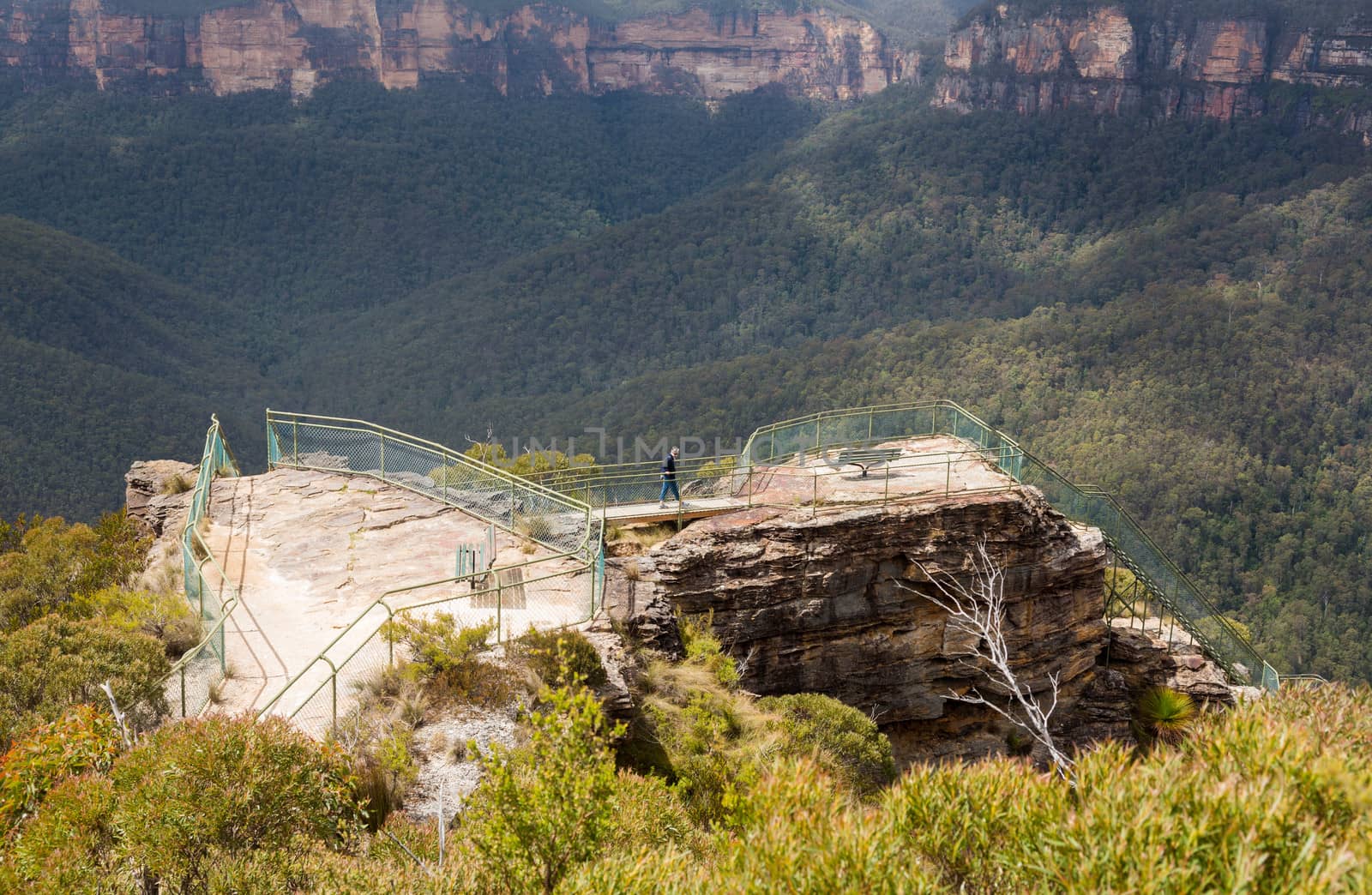 Grose Valley in Blue Mountains Australia by steheap