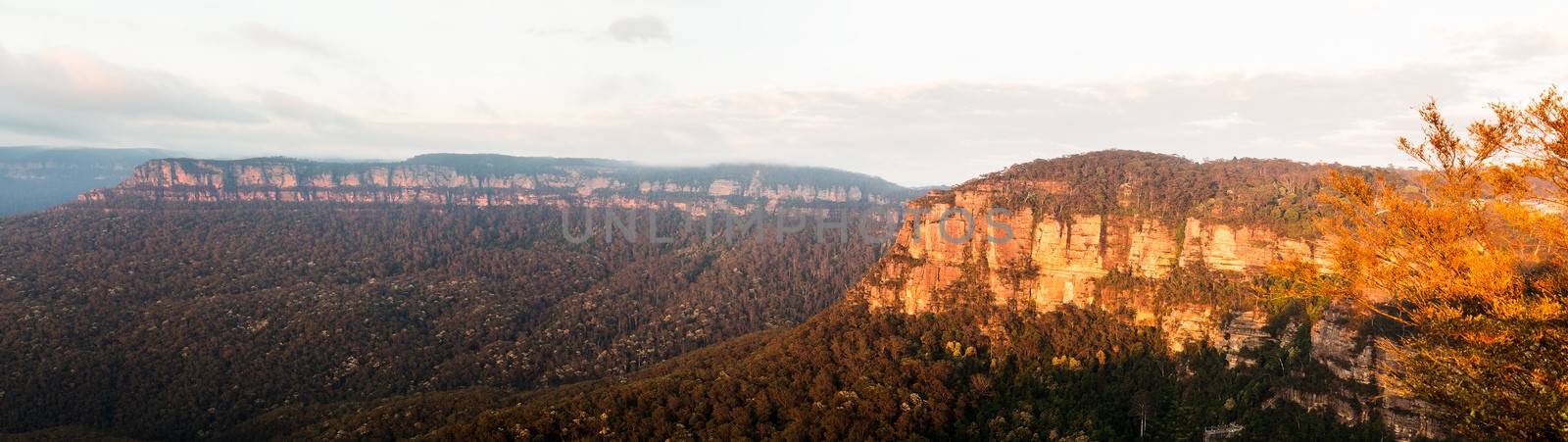 Sunrise from Echo Point in Blue Mountains Australia by steheap