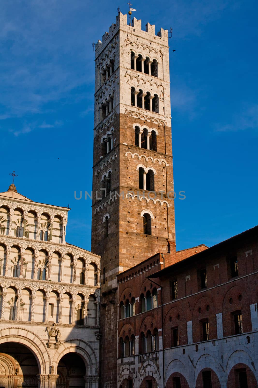 An old big medieval tower in Lucca 
