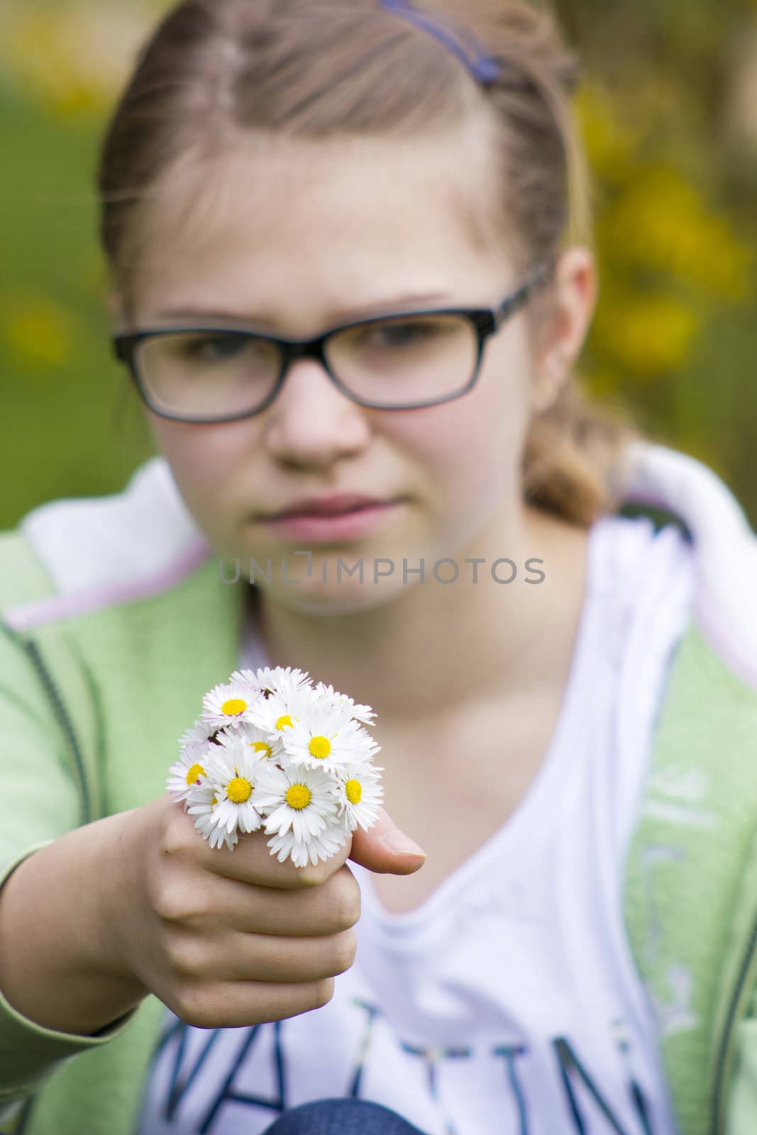 daisies - a gift for the mother