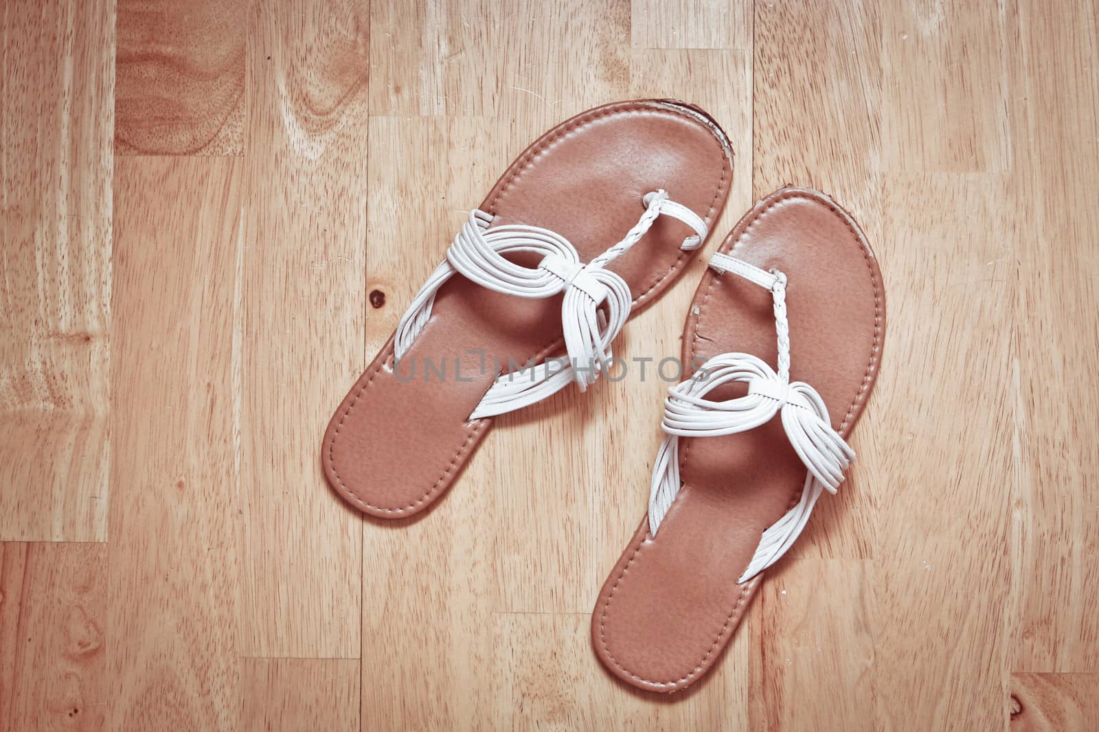 Pair of leather female sandals on a wooden floor