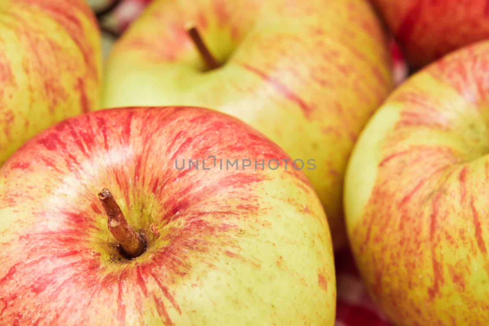 Close up of ripe apples with shallow depth of field